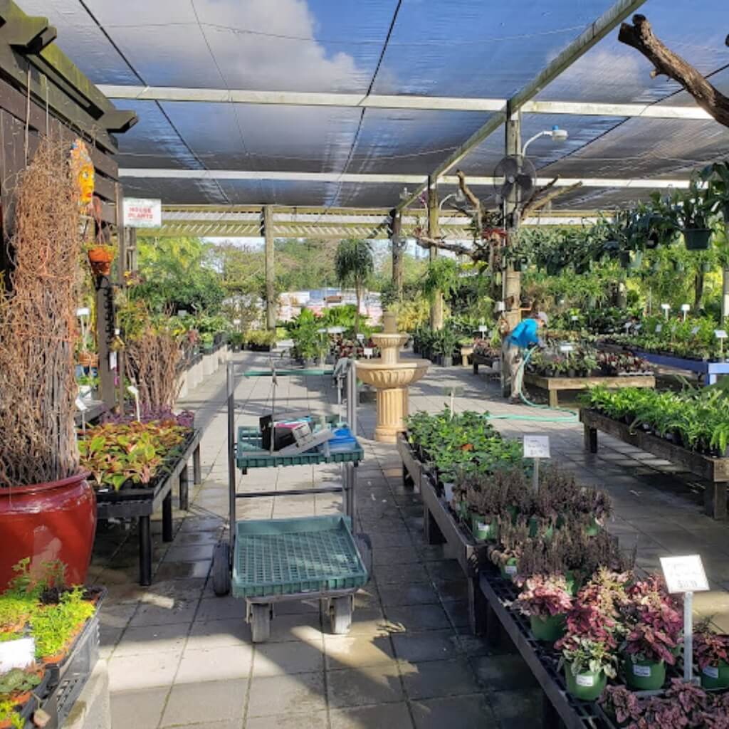 Casaplanta Garden Center