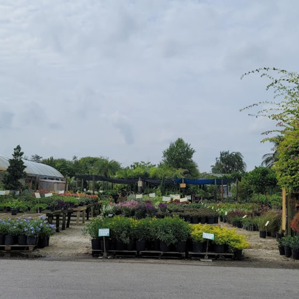 Galloway Farm Nursery Inc.
