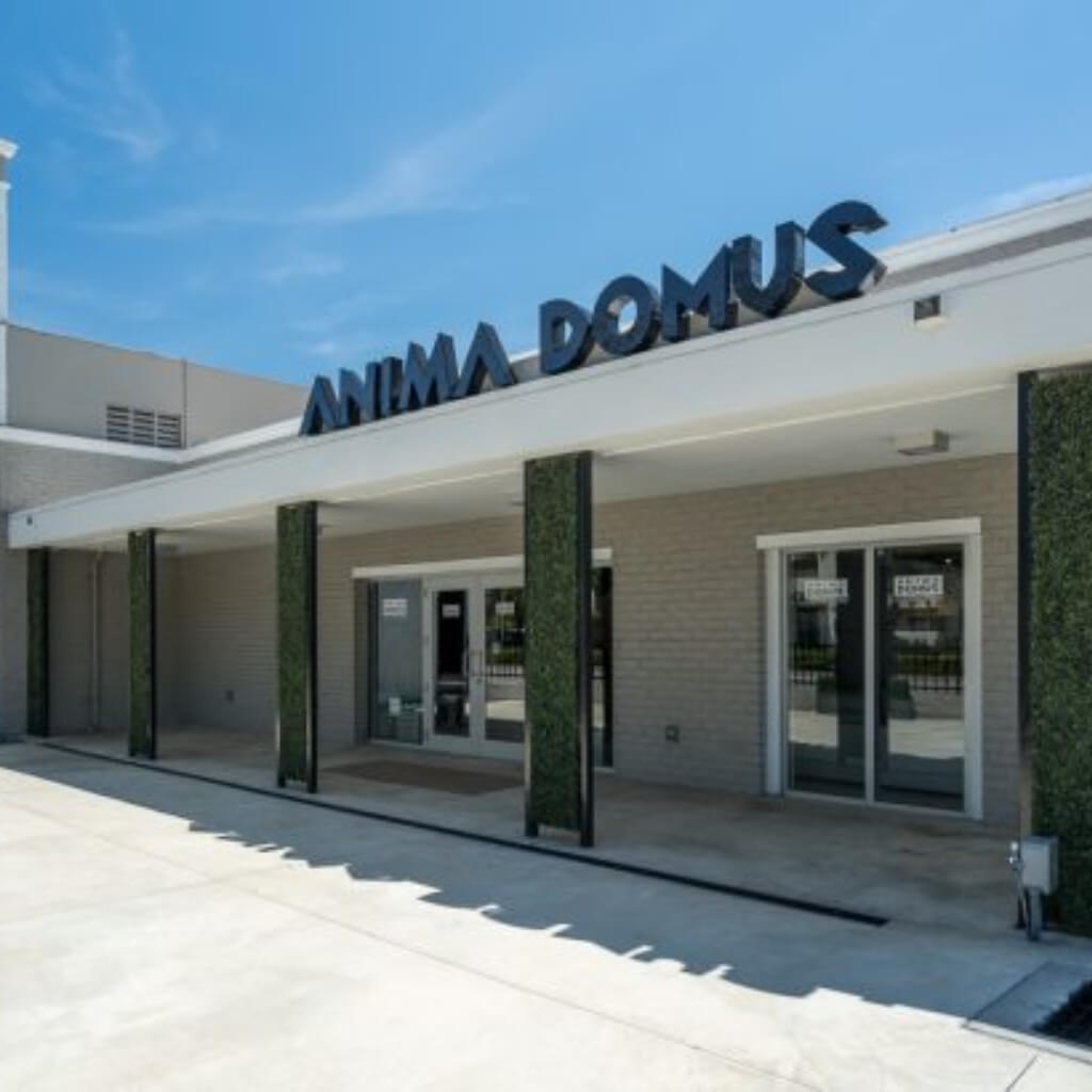 Anima Domus Miami