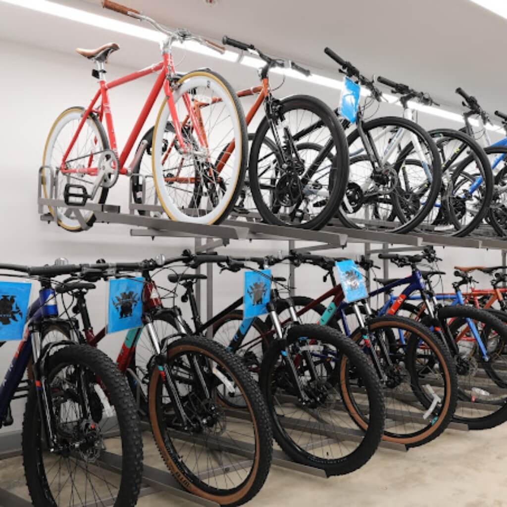 SunCycling Cycle and Fitness Shop 2