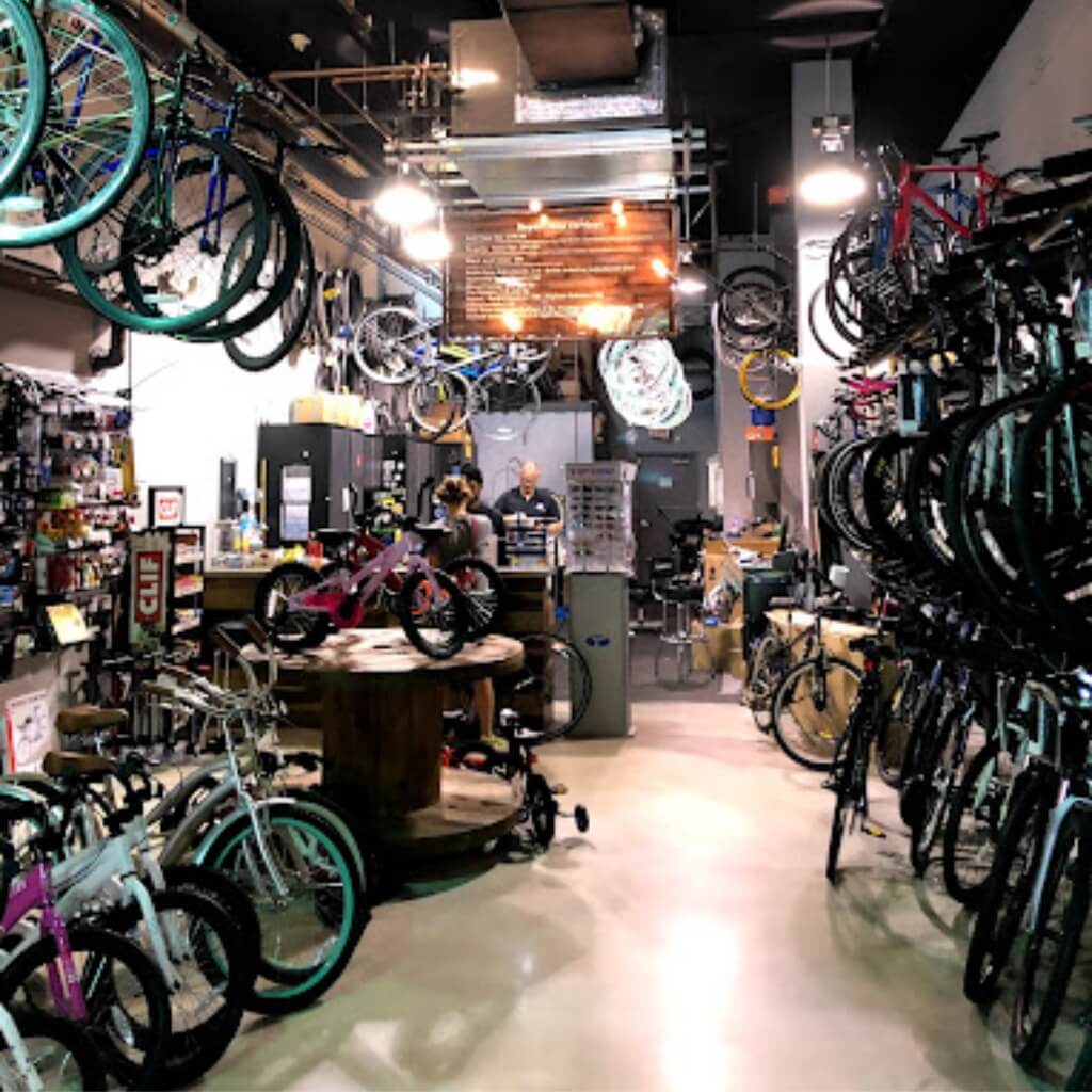 The Miami Bike Shop 3