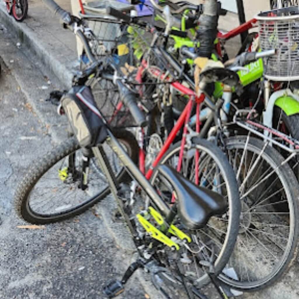 La Bendicion Bicycle 3