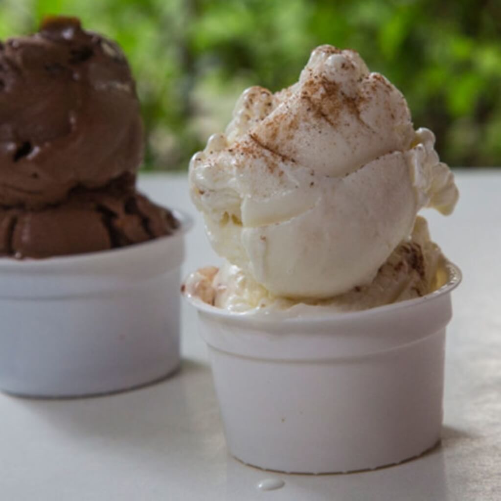 tina de helado Freddo