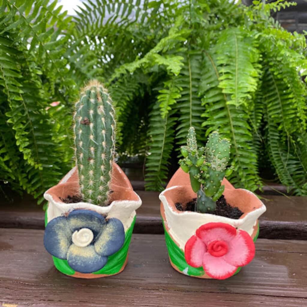 Cactus Sunset Nursery