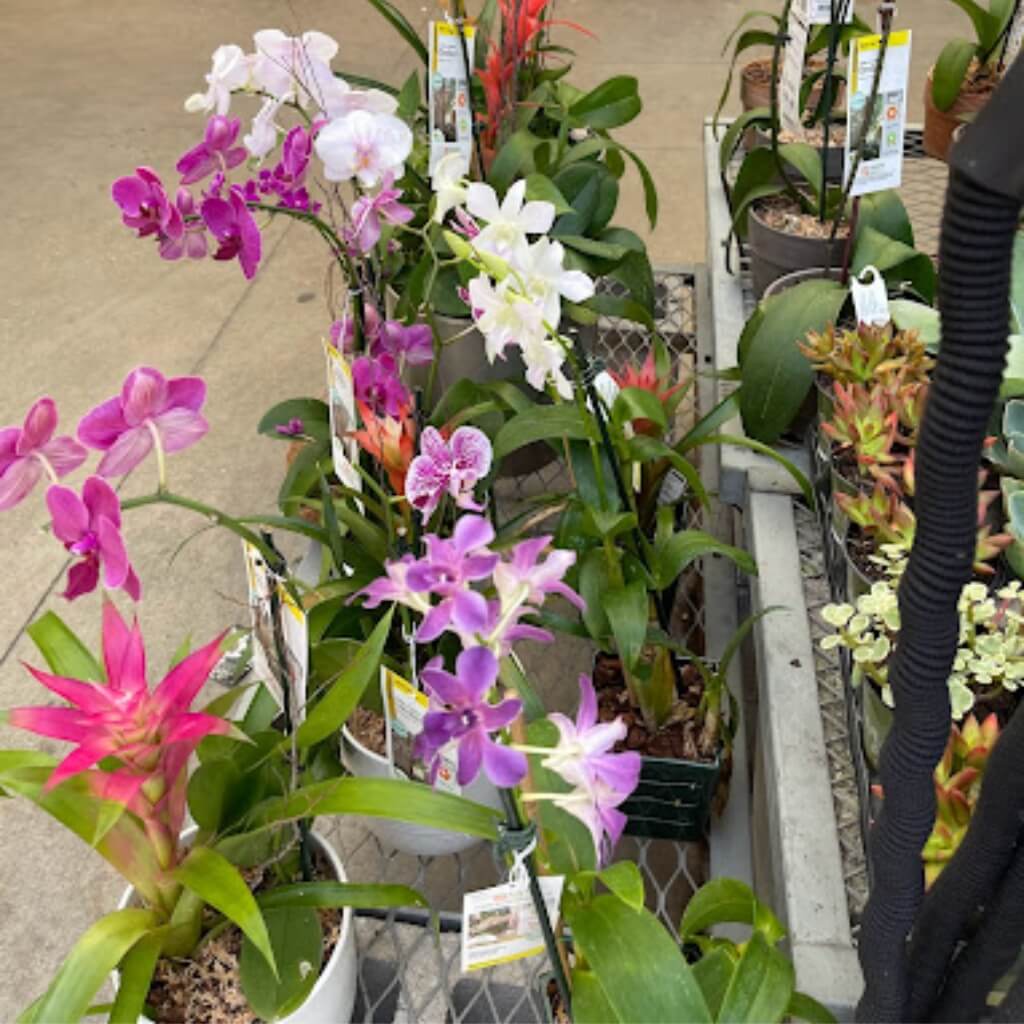 Flores Garden Center at The Home Depot