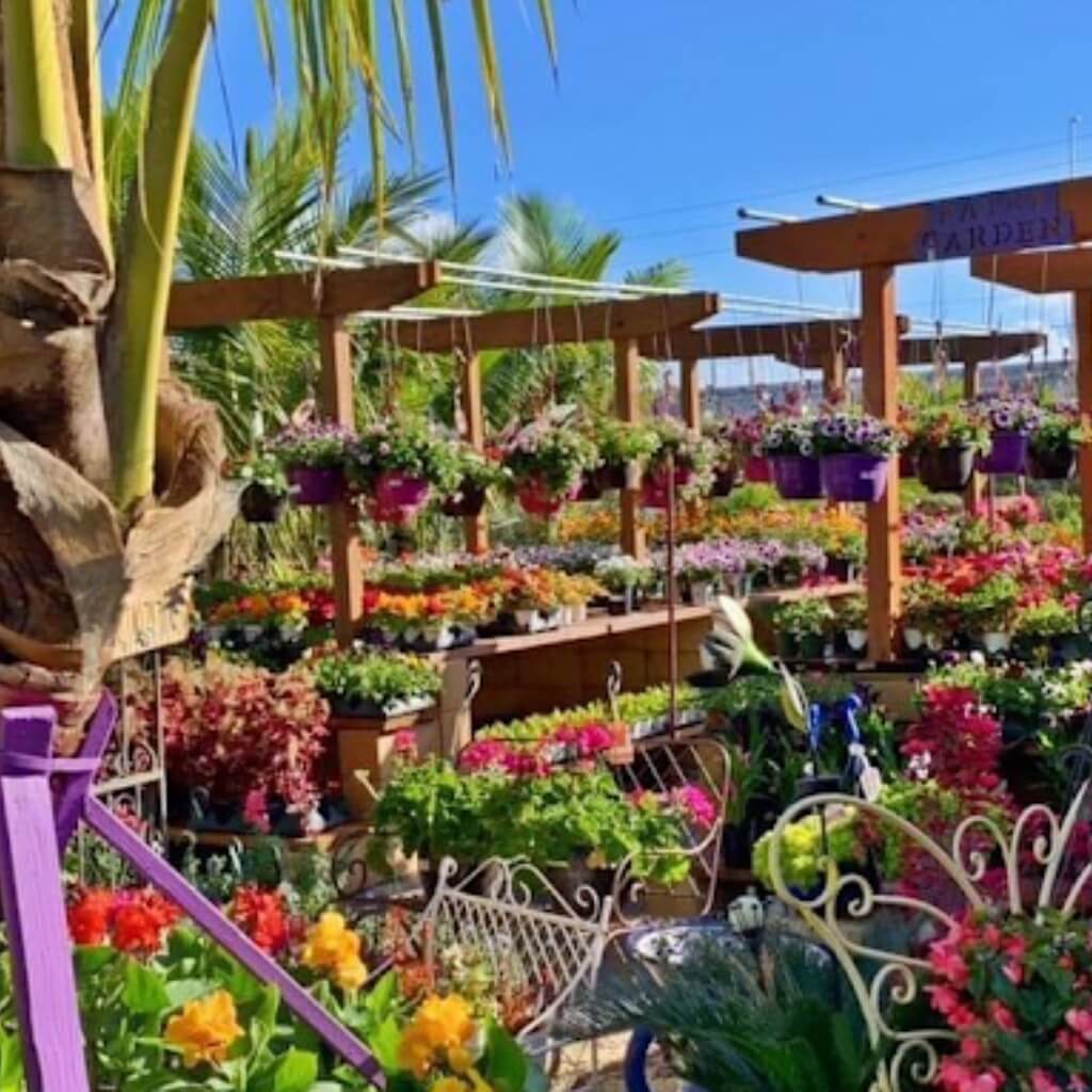 Flores Plasencia Nursery
