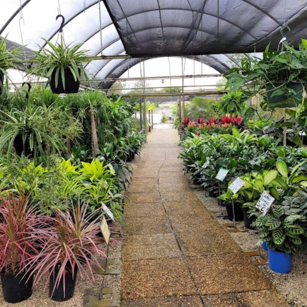 Plantas Galloway Farm Nursery Inc
