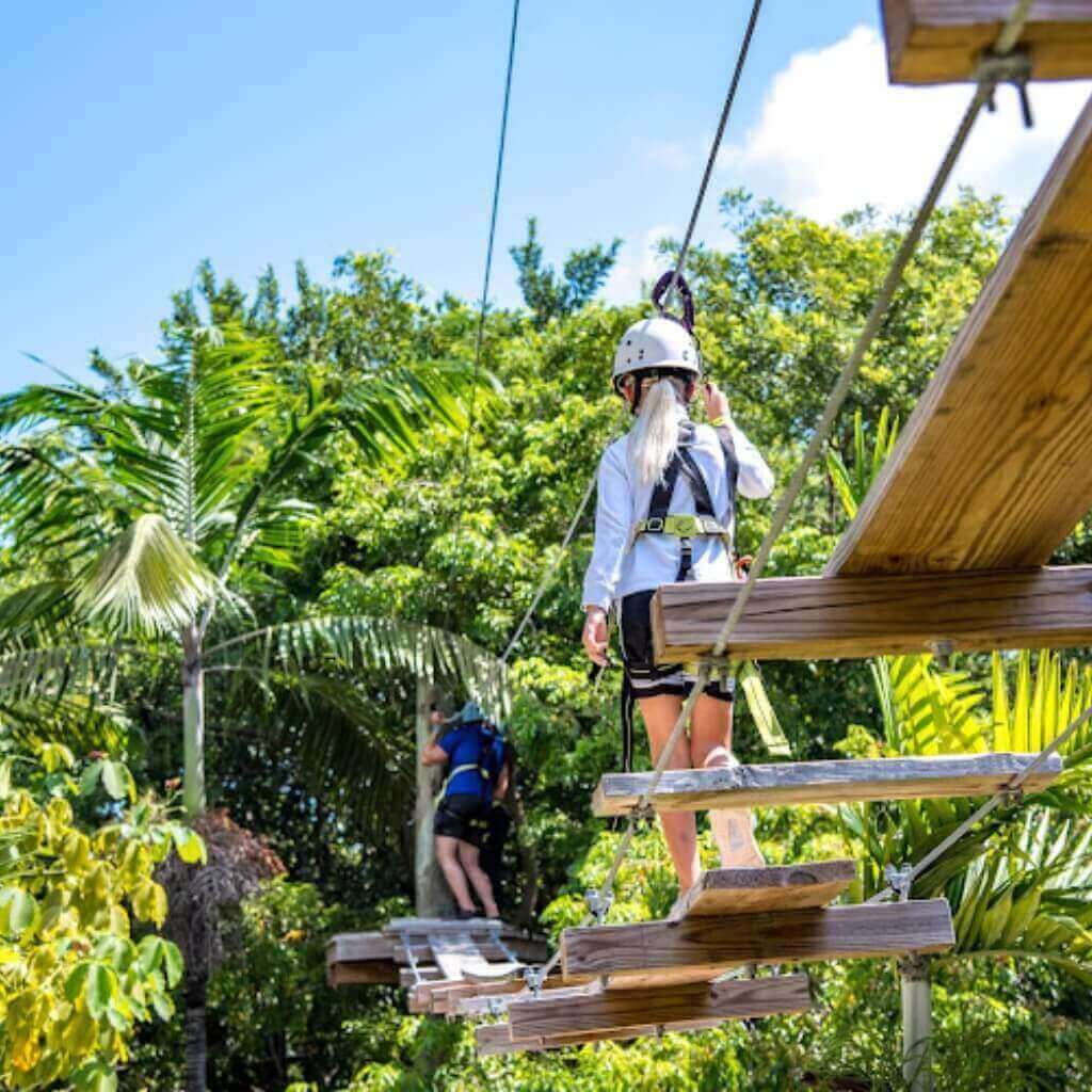 Treetop Trekking Miami 3