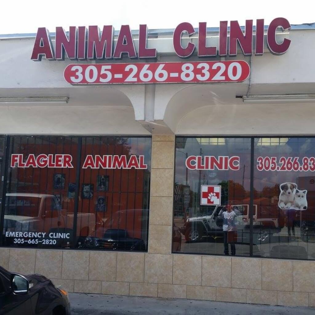 Flagler Animal Clinica