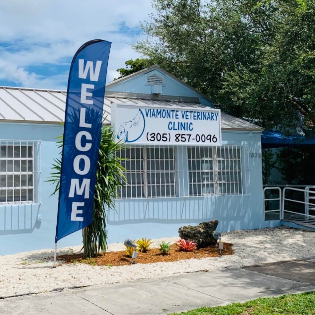 Viamonte Veterinary Clinic