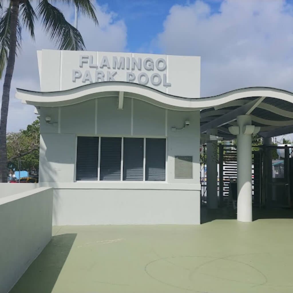 Flamingo Park Pool 1