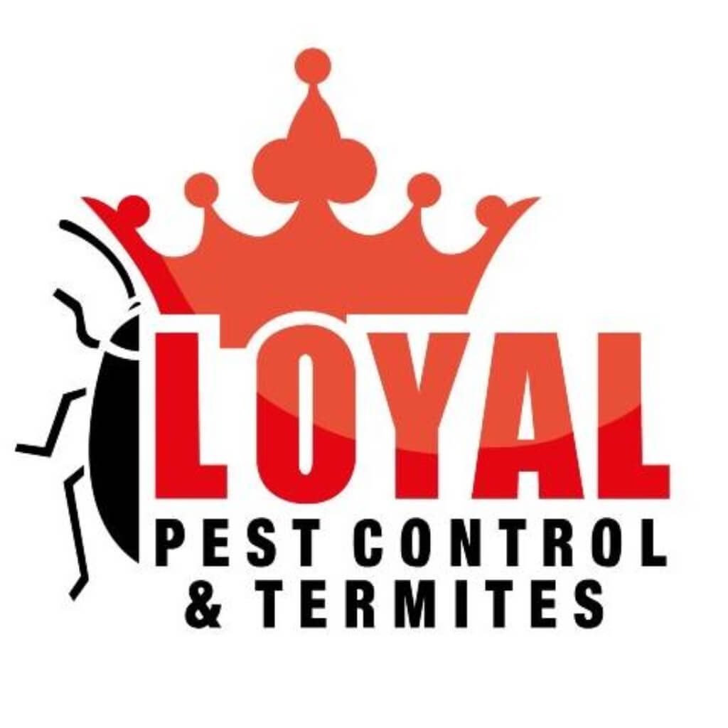 Loyal Pest Control and Termites