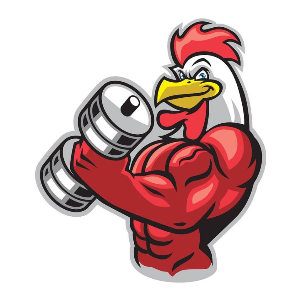 Gallo 8 Gym