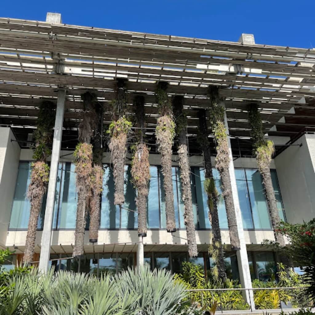 Pérez Art Museum Miami