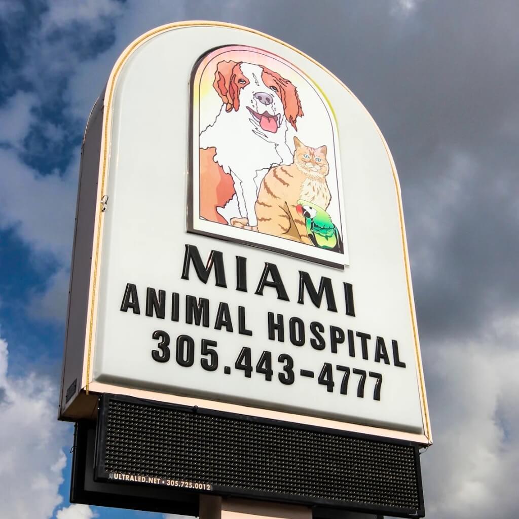 Miami Animal Hospital
