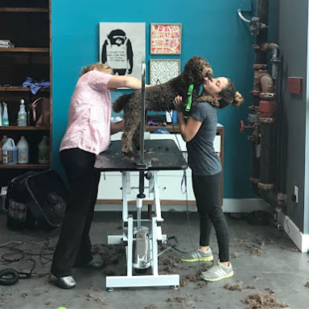 DOG Hotels Wynwood 2