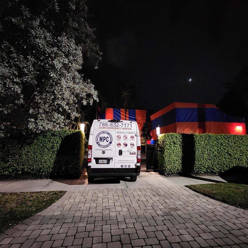 MONDRAGON Pest Control 2