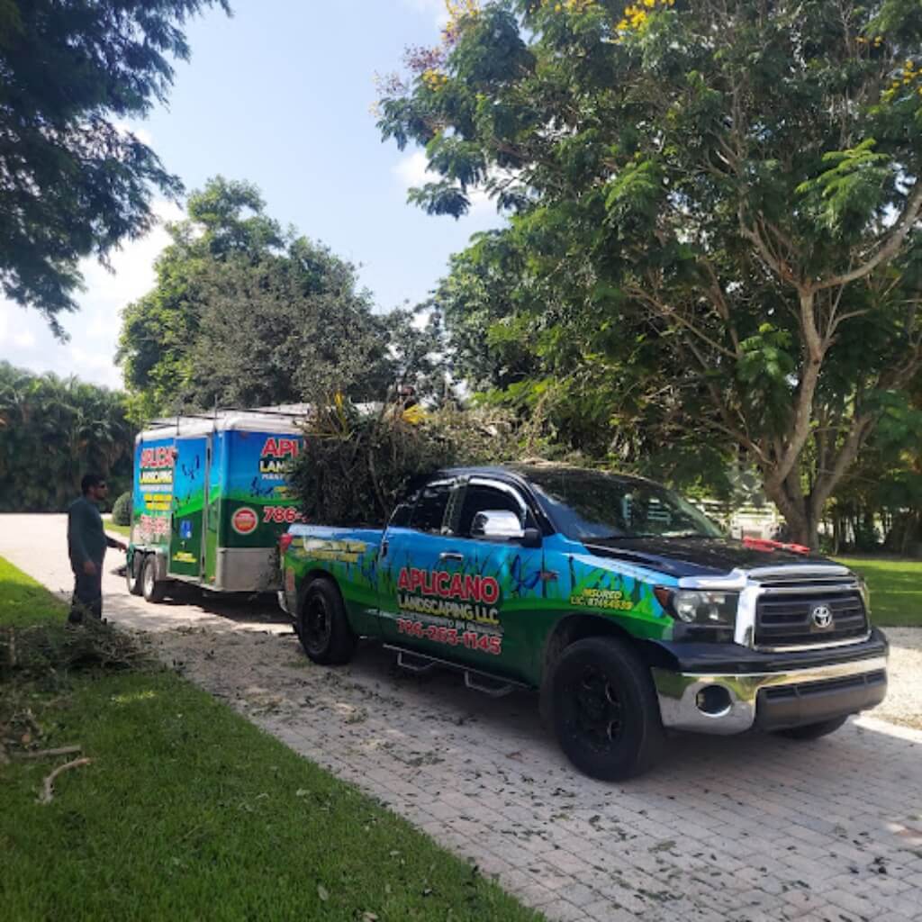 APLICANO LANDSCAPING.LLC 2