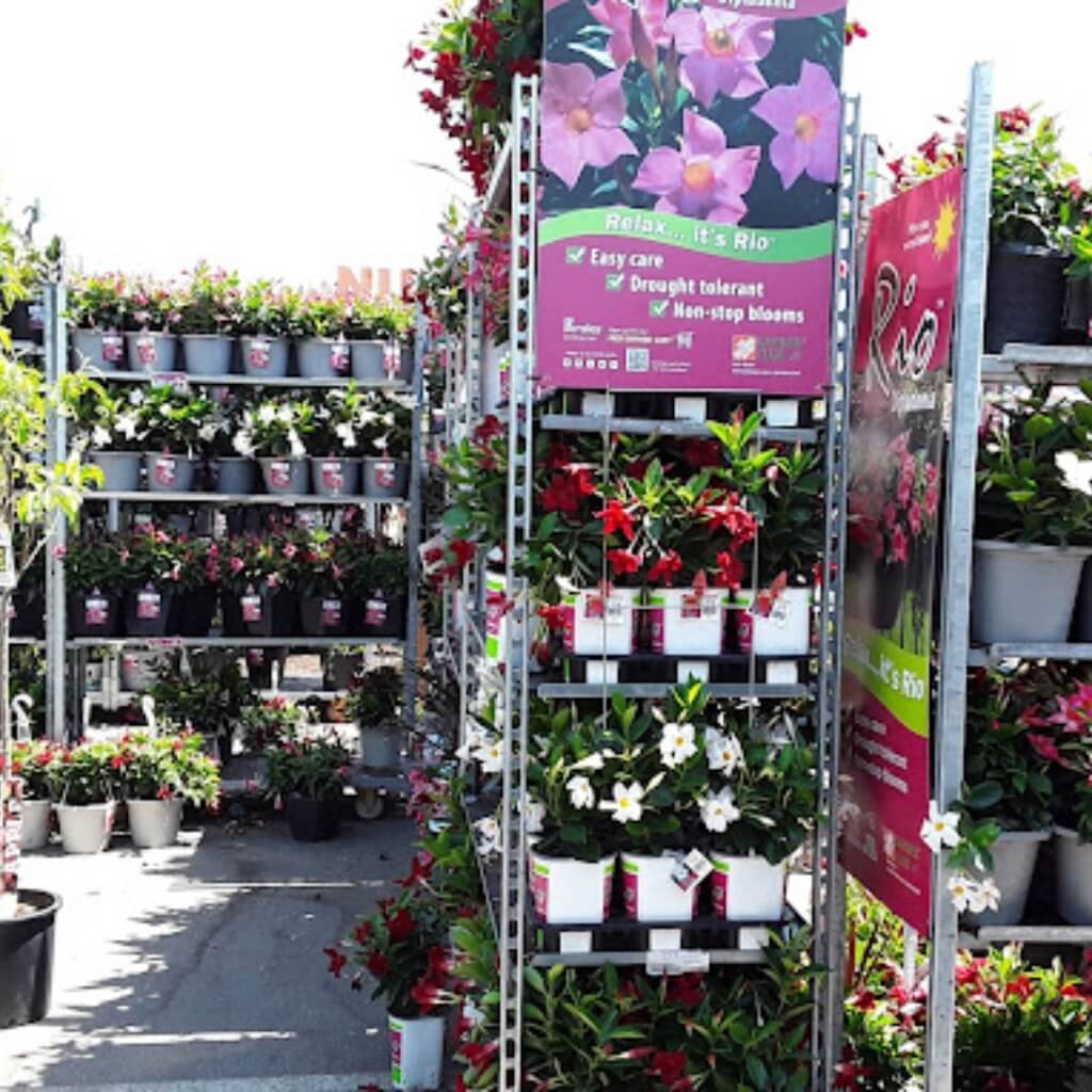 Garden Center at The Home Depot 2