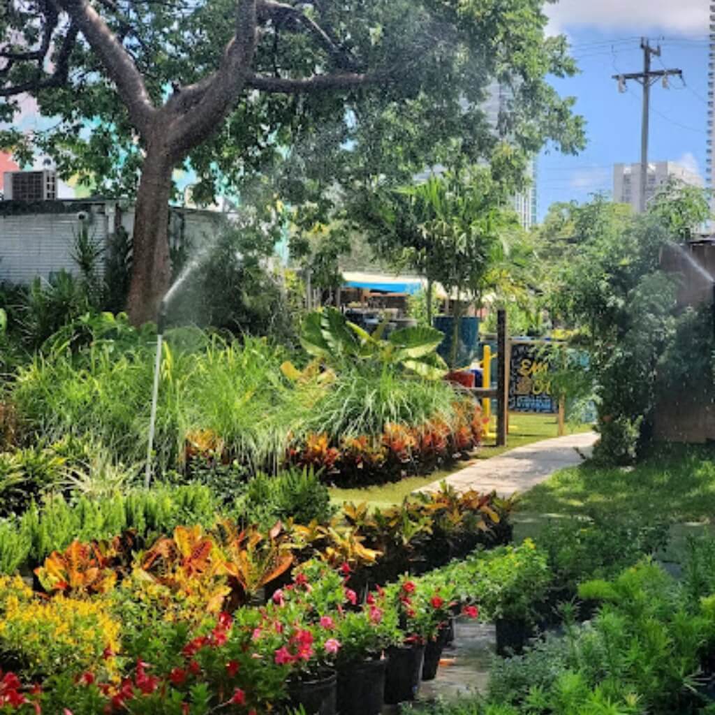 Midtown Garden Center 2