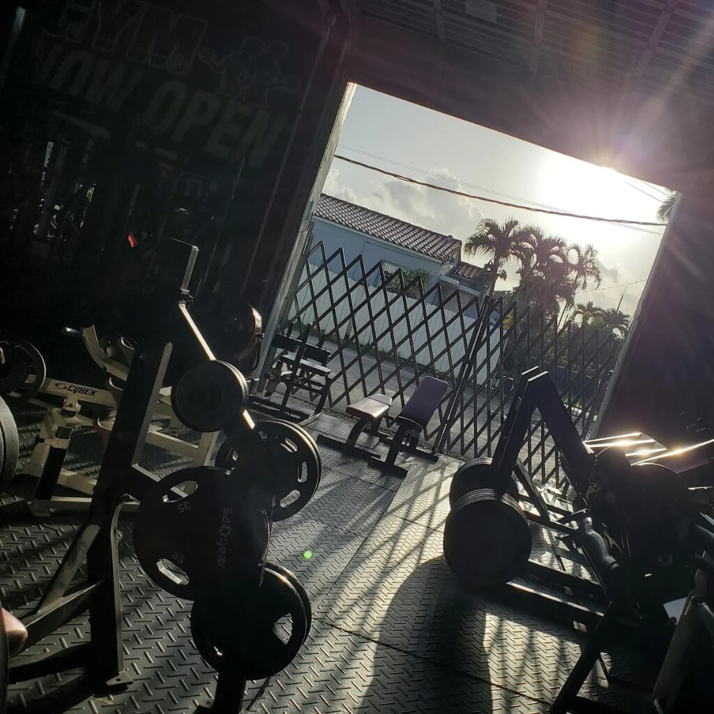 Iramis Gym 2
