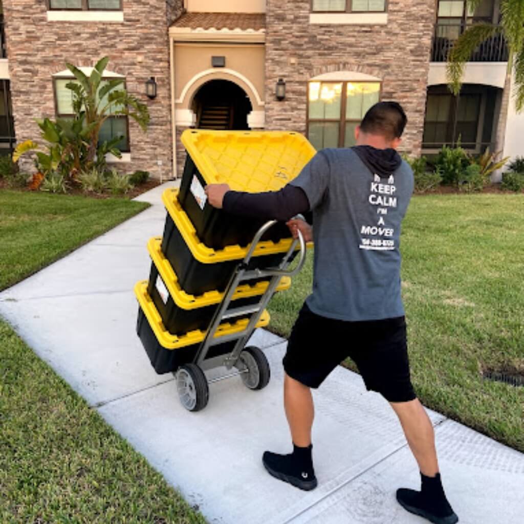 Skyroad Moving 2