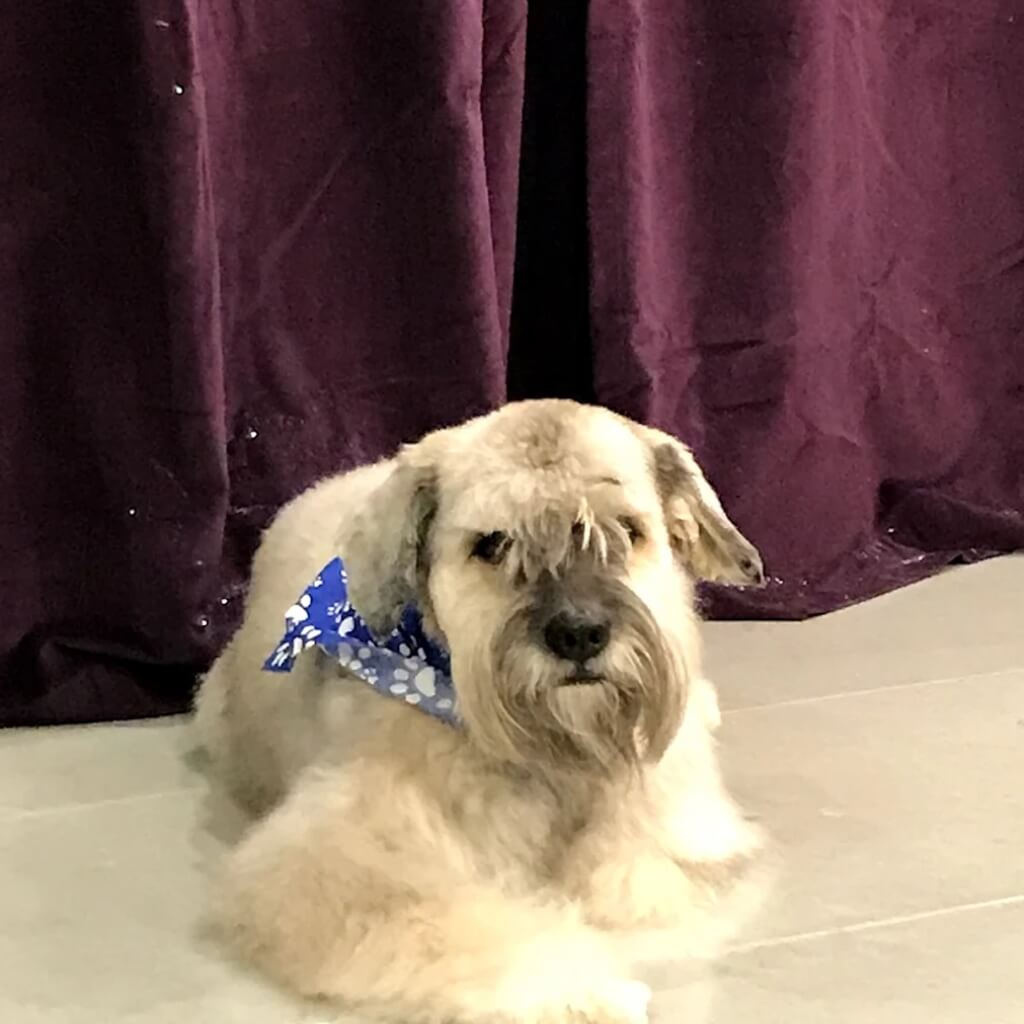 Coral Way Animal Clinic