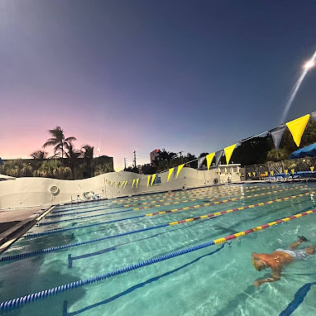 Flamingo Park Pool 5