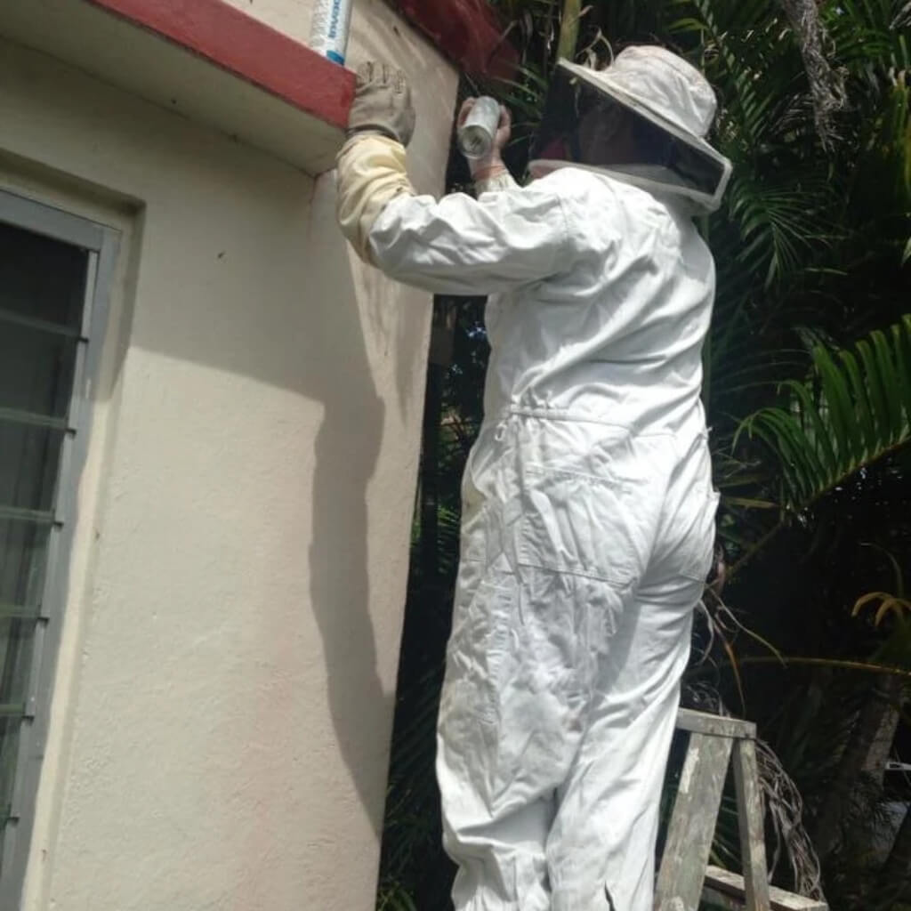 Atek Pest Control Inc 3