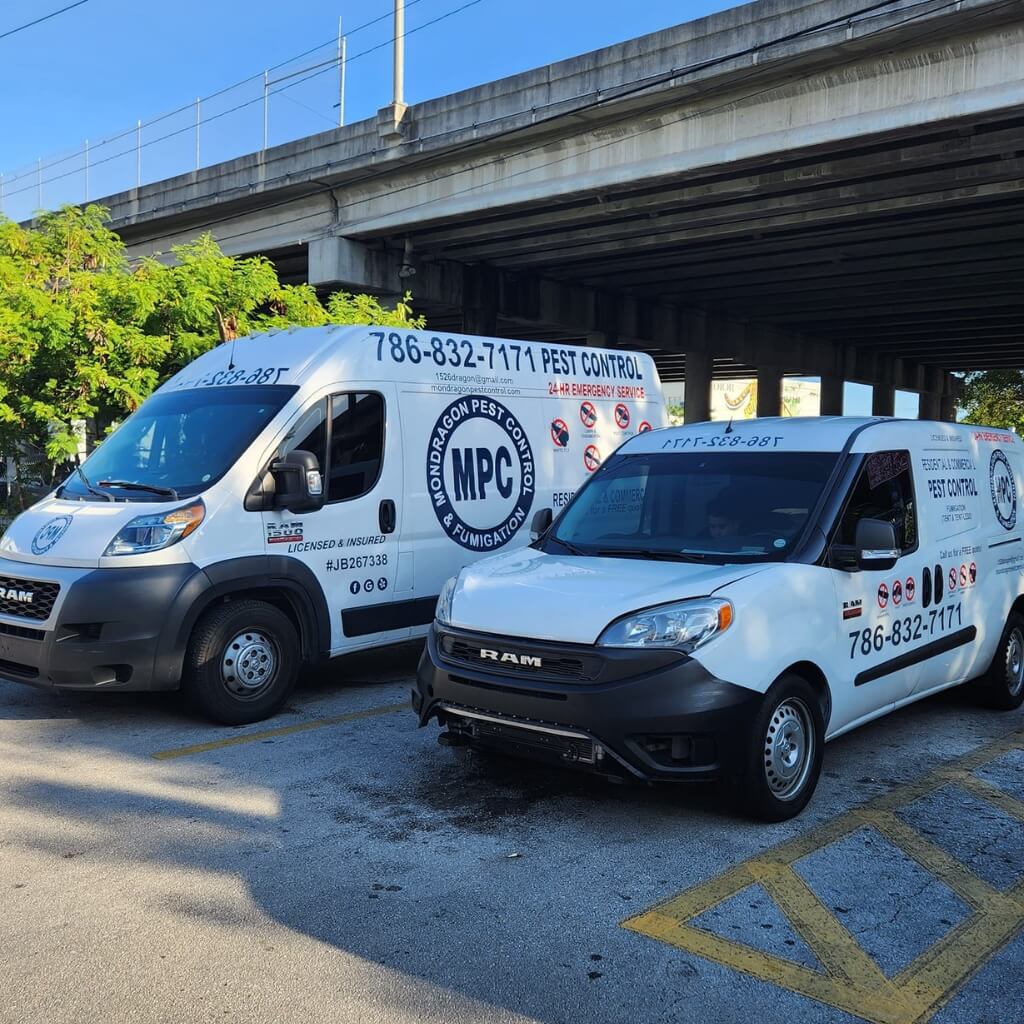 MONDRAGON Pest Control 3