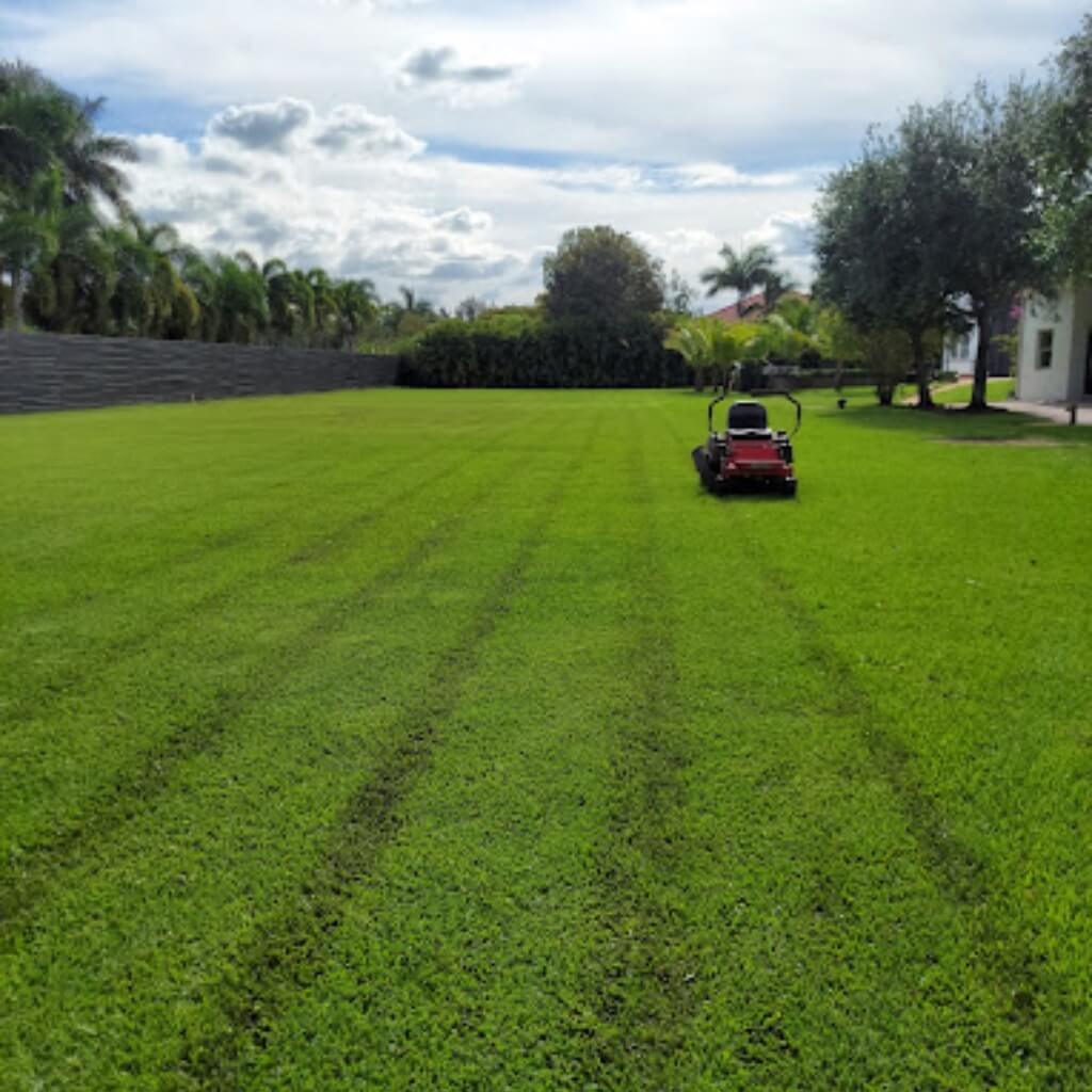 APLICANO LANDSCAPING.LLC 3