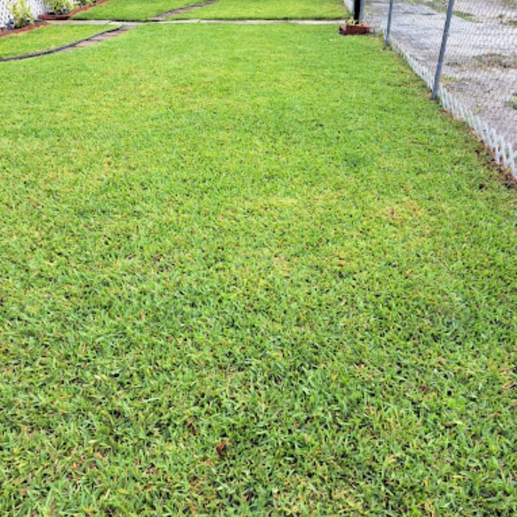 landscaping service 3