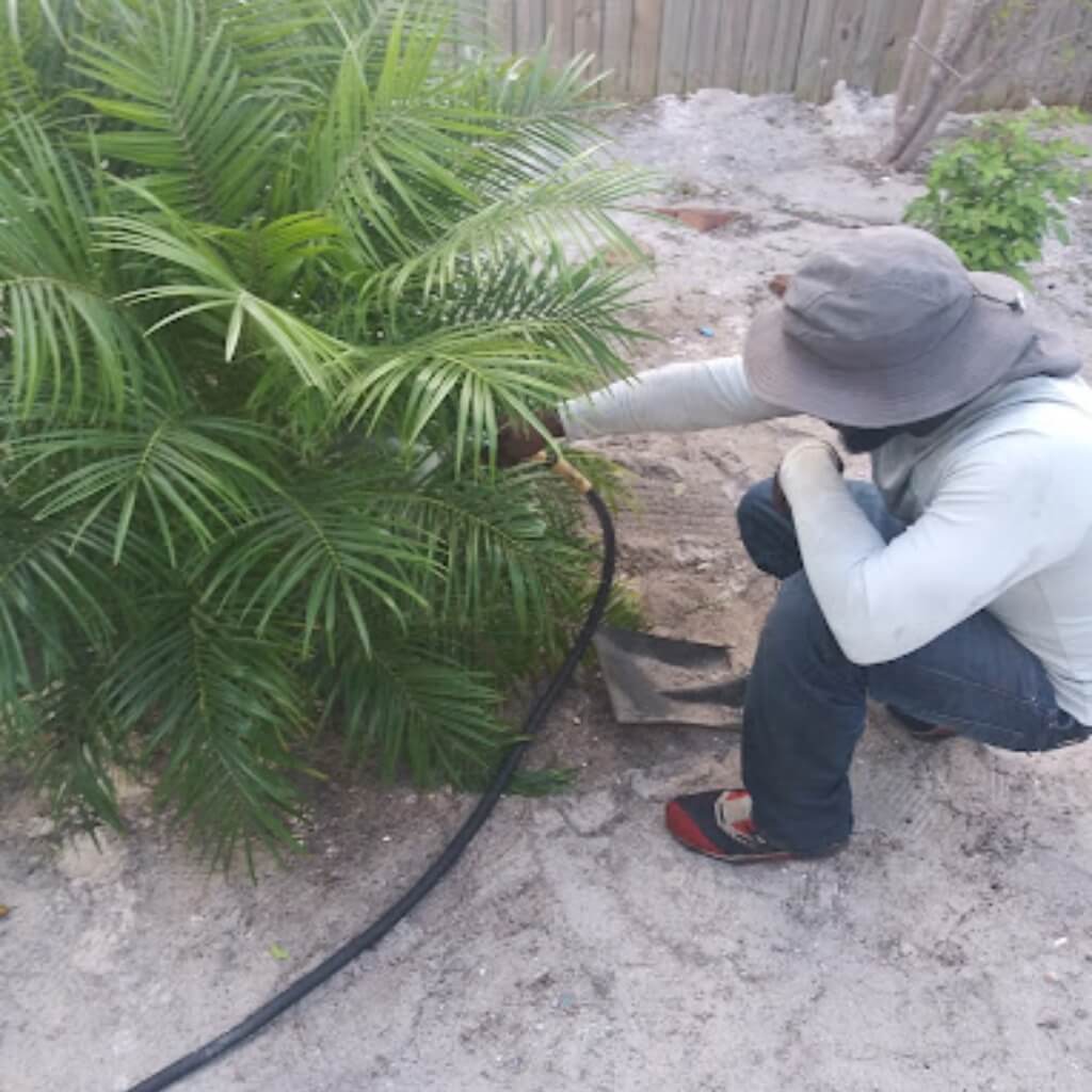 Rojo's Lawn service 3