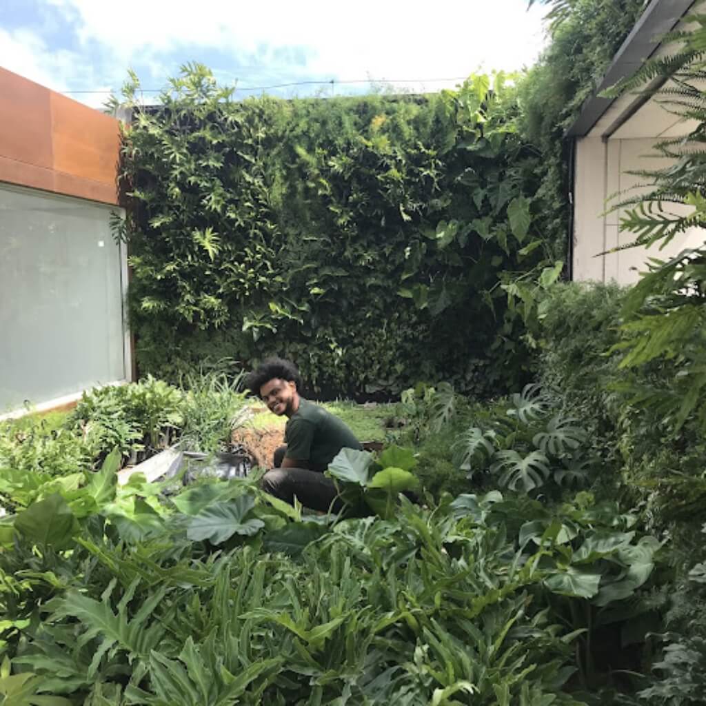 Vertical Garden Miami 3