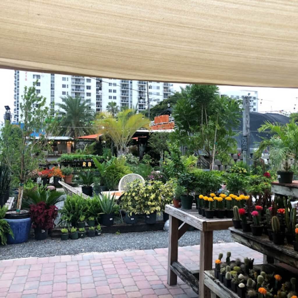 Midtown Garden Center 3