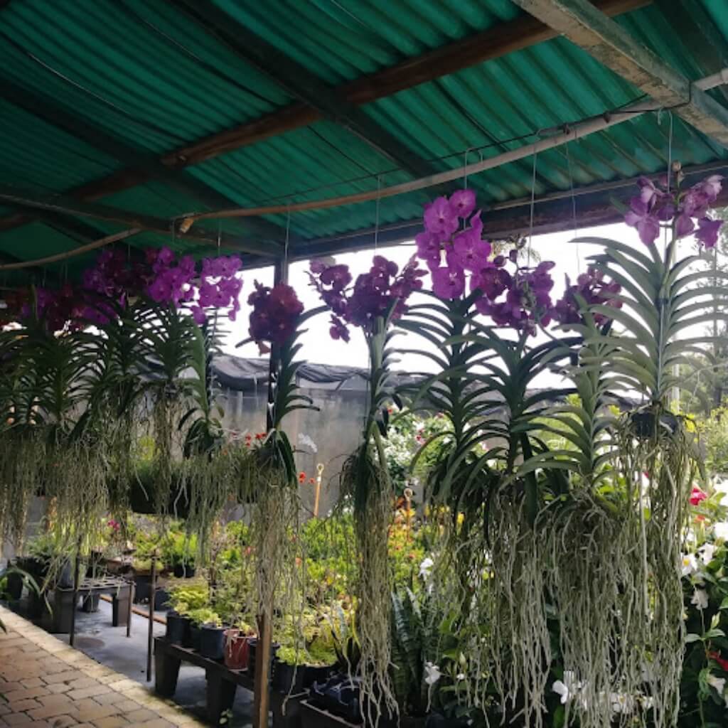 R & R Garden Center 3