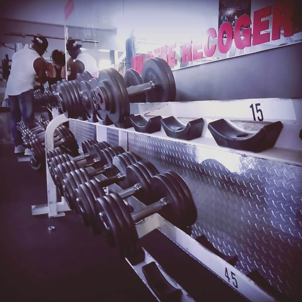Gallo 8 Gym 3