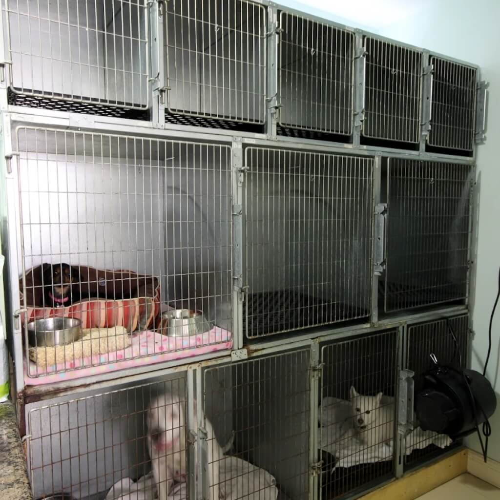 Coral Way Animal Clinic