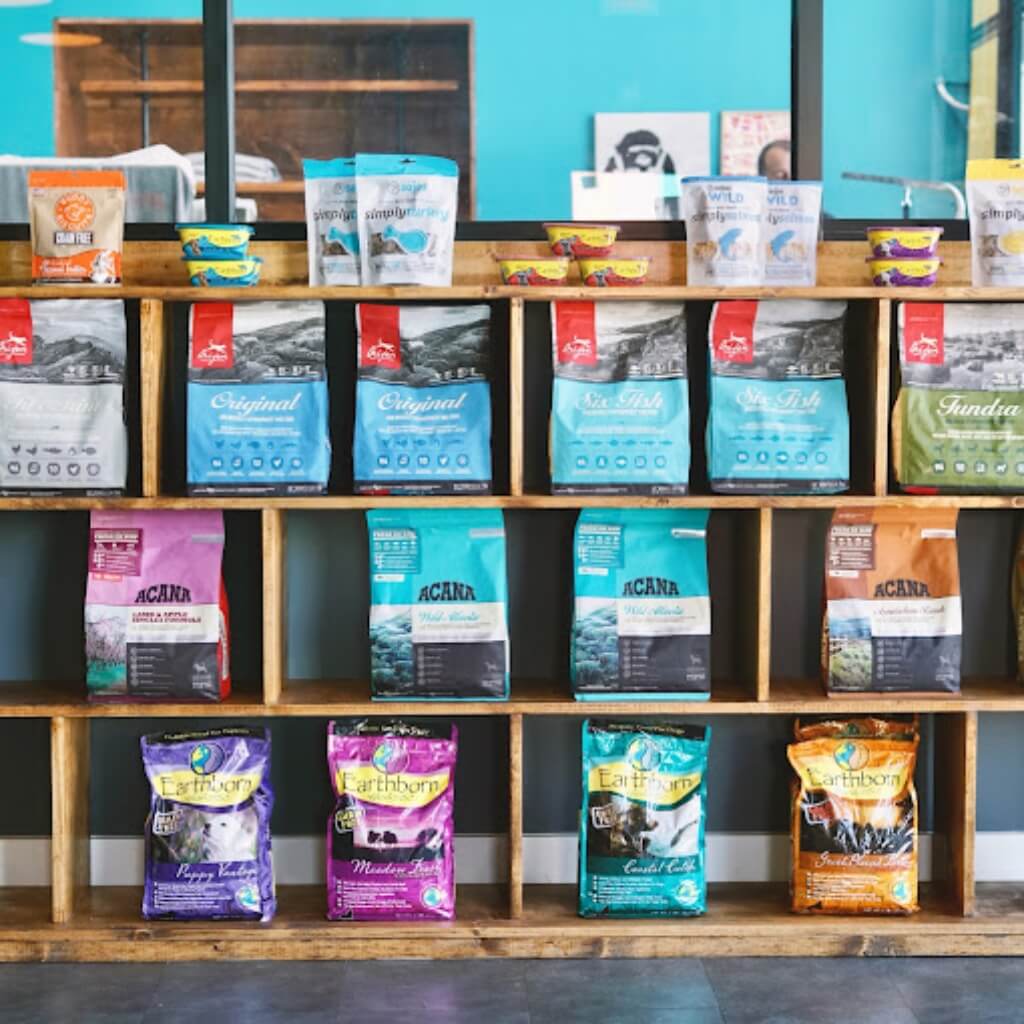 DOG Hotels Wynwood 4