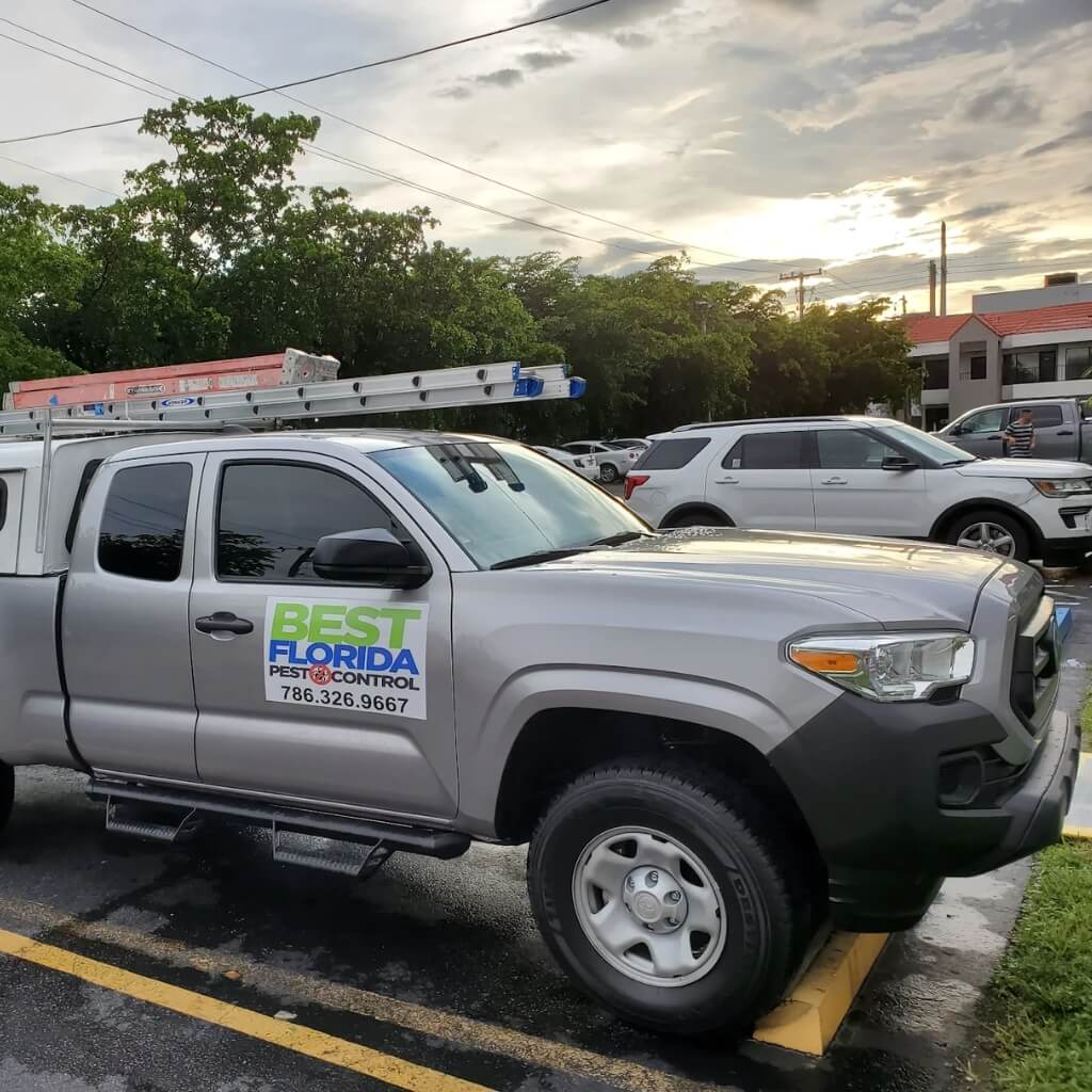 Best Florida Pest Control 4