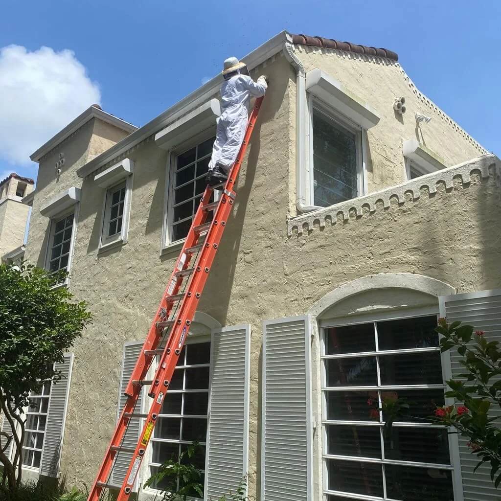 Loyal Pest Control and Termites 4