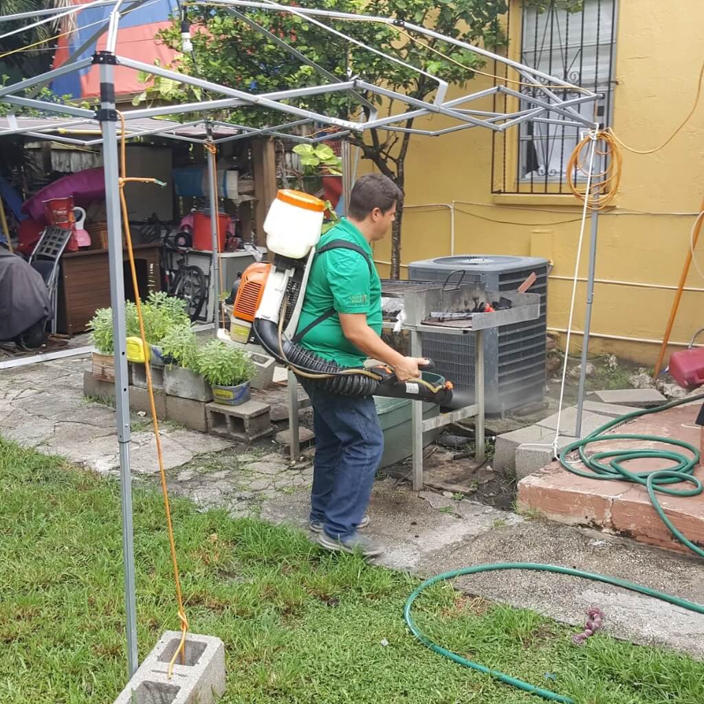 Los Fumigadores Pest Control 4