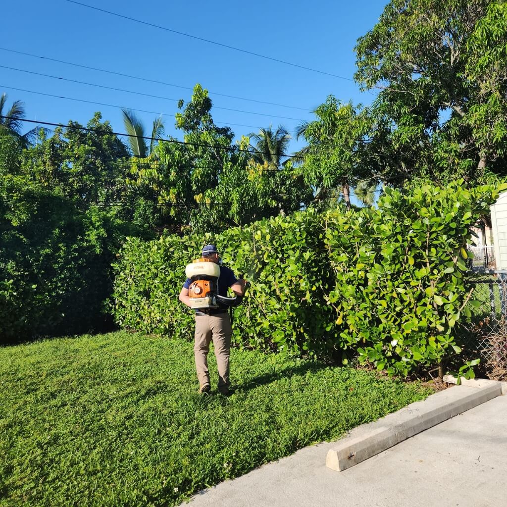 MONDRAGON Pest Control 4