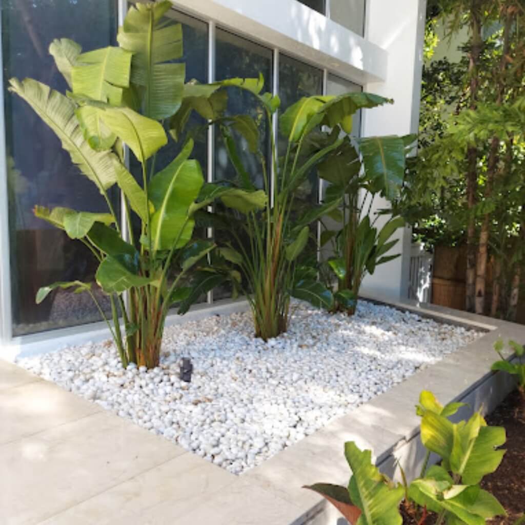 APLICANO LANDSCAPING.LLC 4