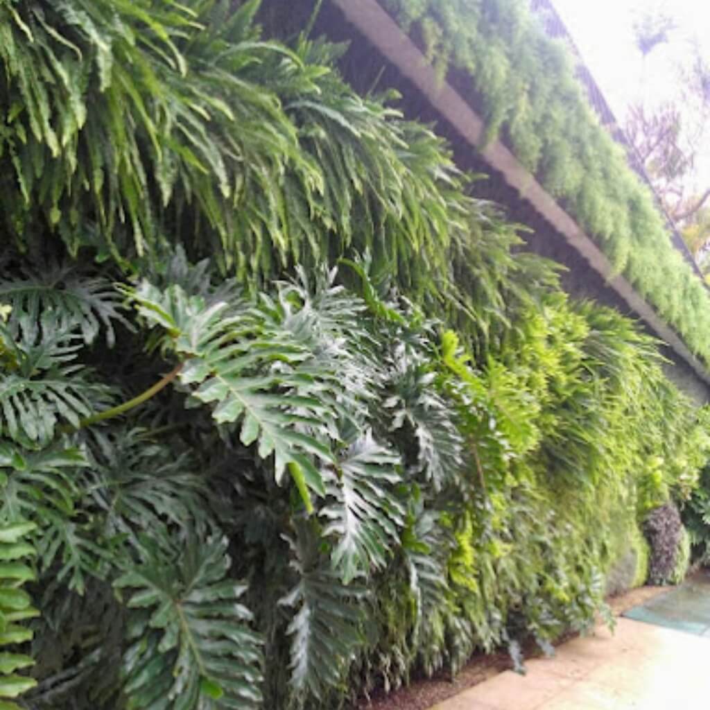 Vertical Garden Miami 4