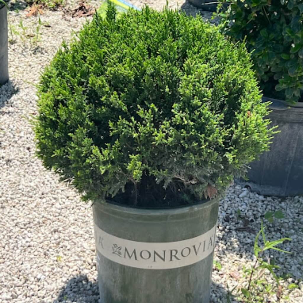 R & R Garden Center 4