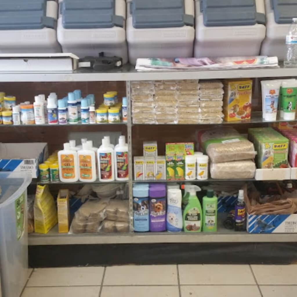 Robinsin 01 Pet Shop 4