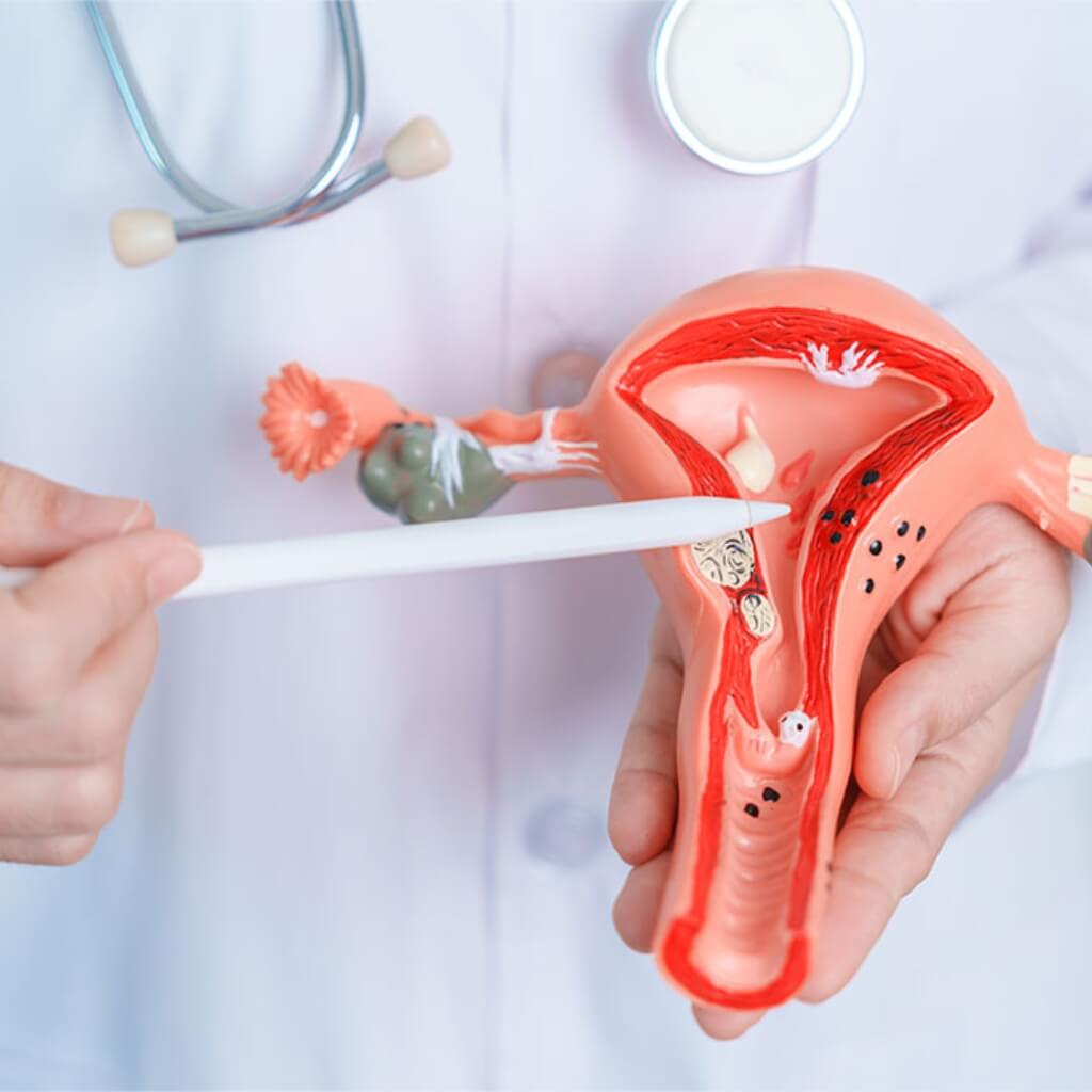 Elite Gynecology Miami LLC 4