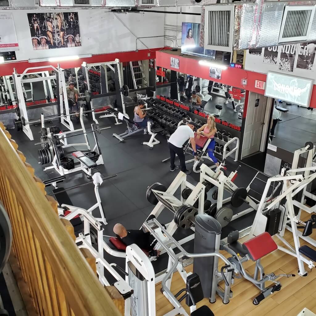 Gallo 8 Gym 4