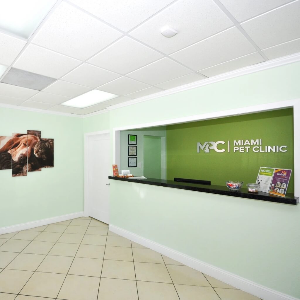 Miami Pet Clinic